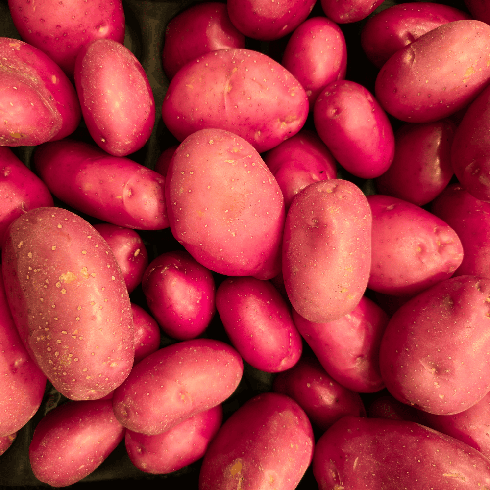 11 Red Potato - लाल आलू - Image 1