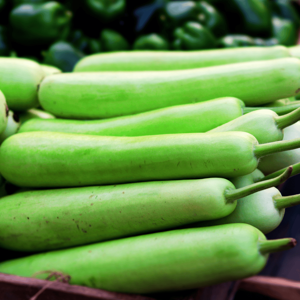 14 Bottle Gourd (Long) - Image 1