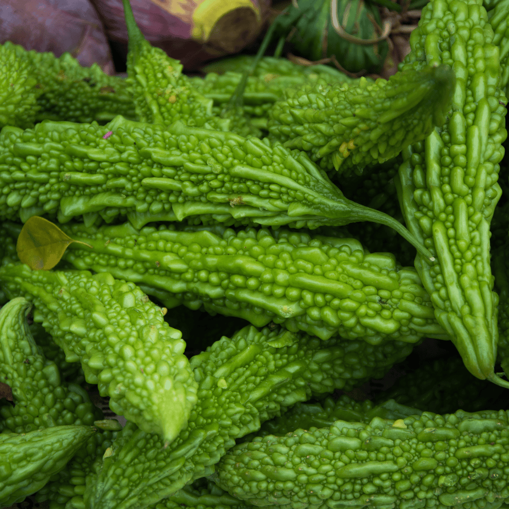 12 Bitter Gourd - करेला - Image 1