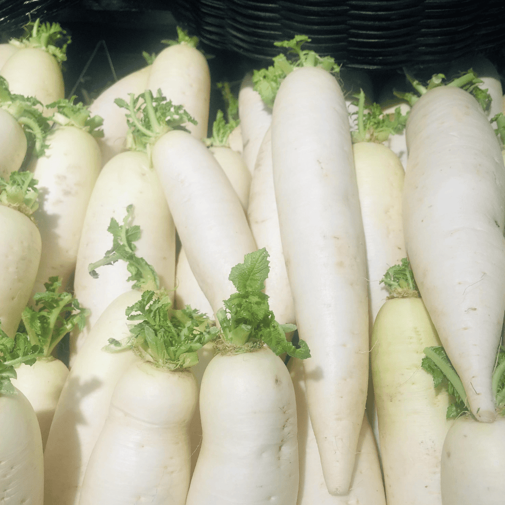 16 Radish (White)- मूली (सफ़ेद) - Image 1
