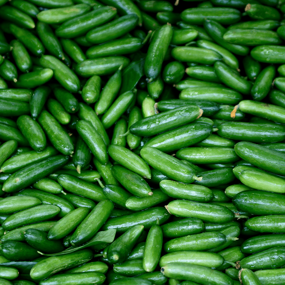 21 Ivy Gourd - कुंदरू - Image 1