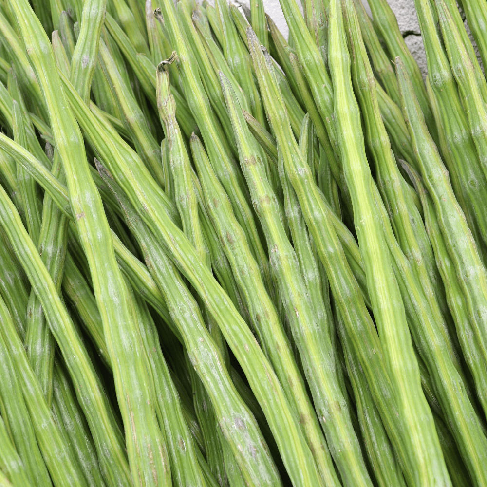 23 Drumstick - सहजन फली - Image 1