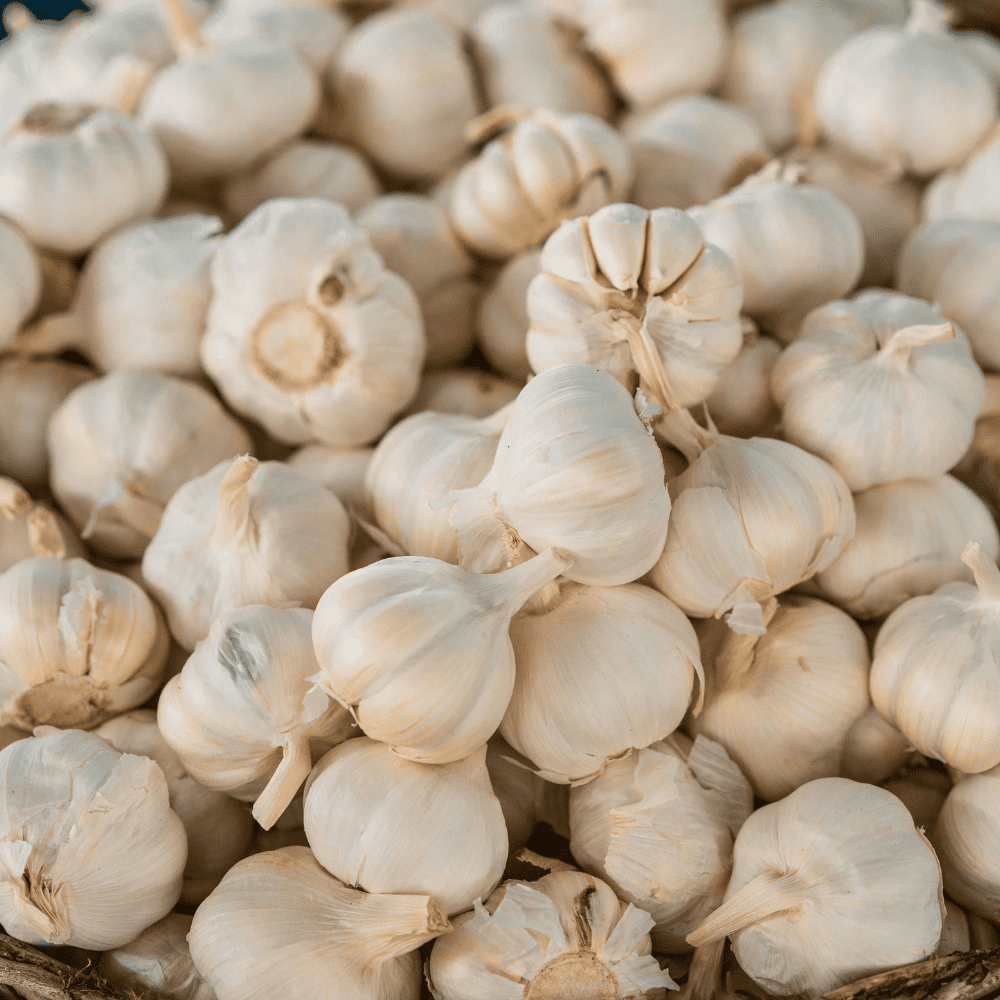 31 Garlic - लहसुन - Image 1