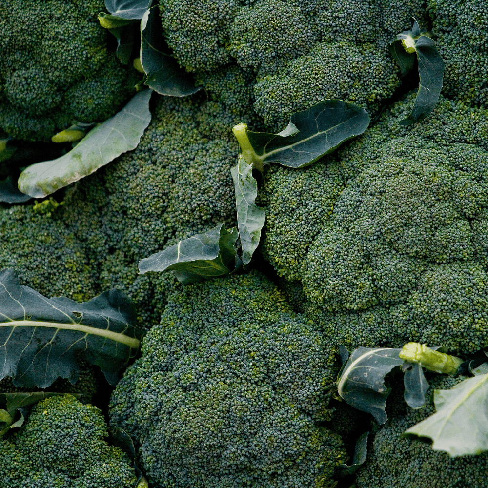 33 Broccoli - ब्रोकली - Image 1
