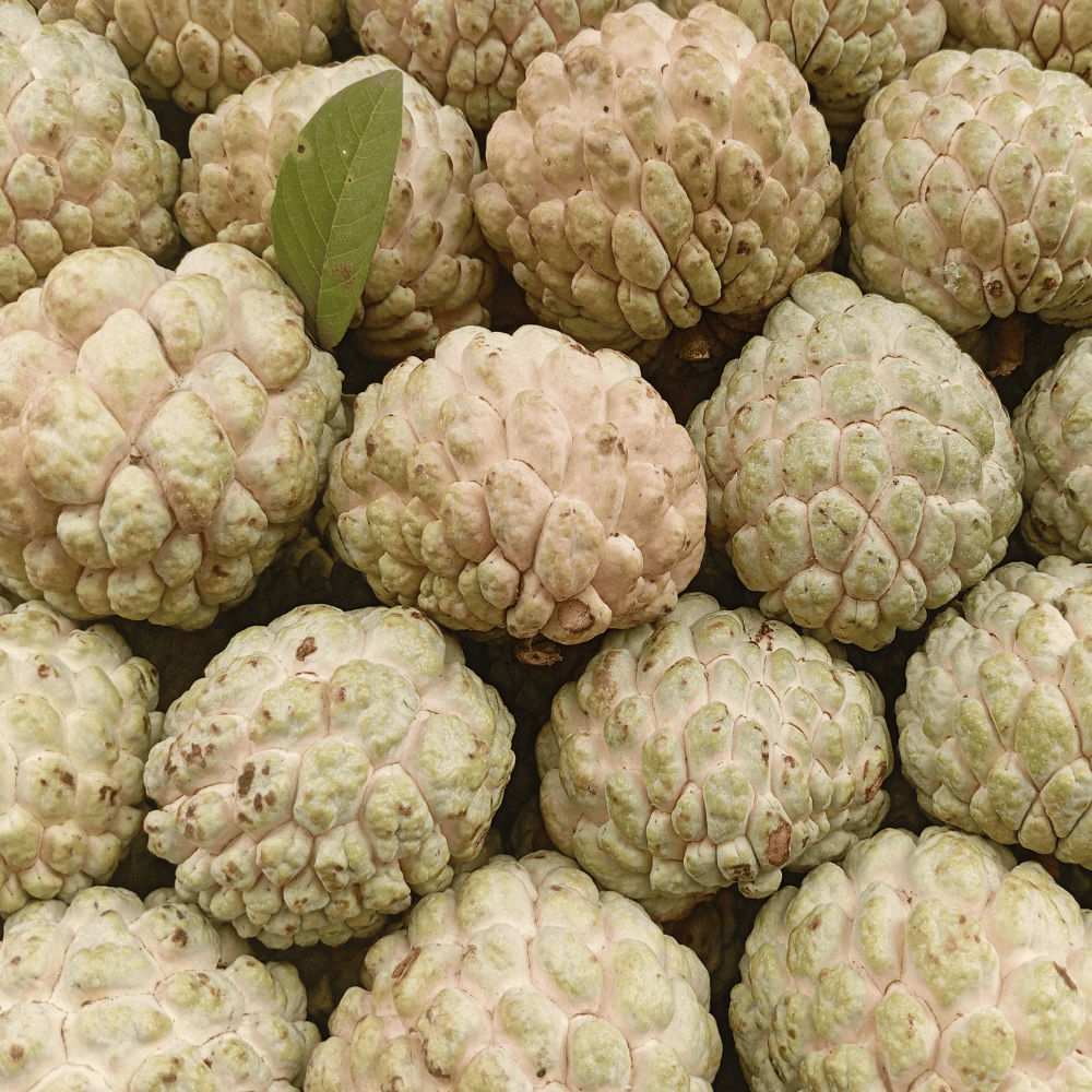 34 Custard Apple - शरीफा (सीताफल) - Image 1