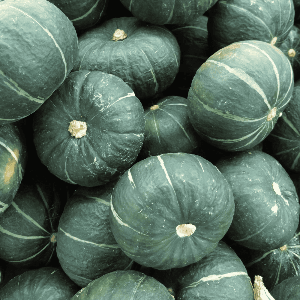 38 Pumpkin - कद्दू (गोल) - Image 1