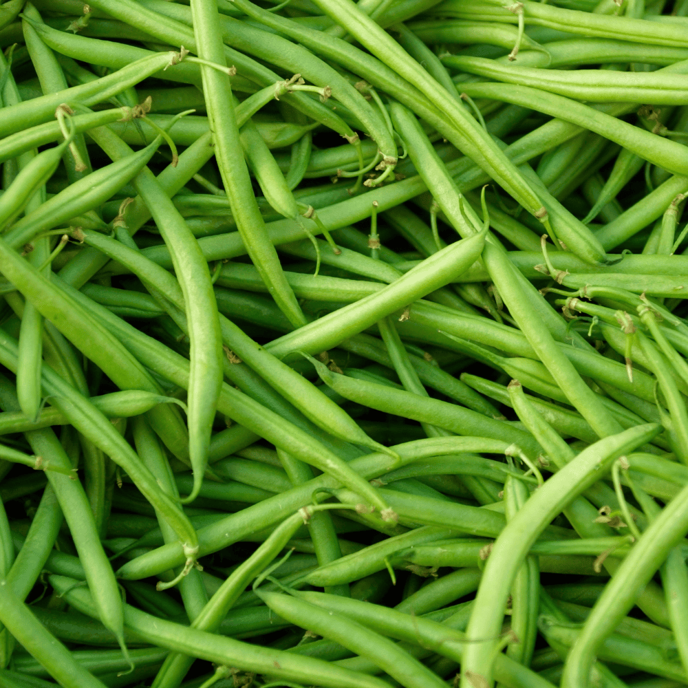 39 French Beans - फ्रेंच बीन्स - Image 1