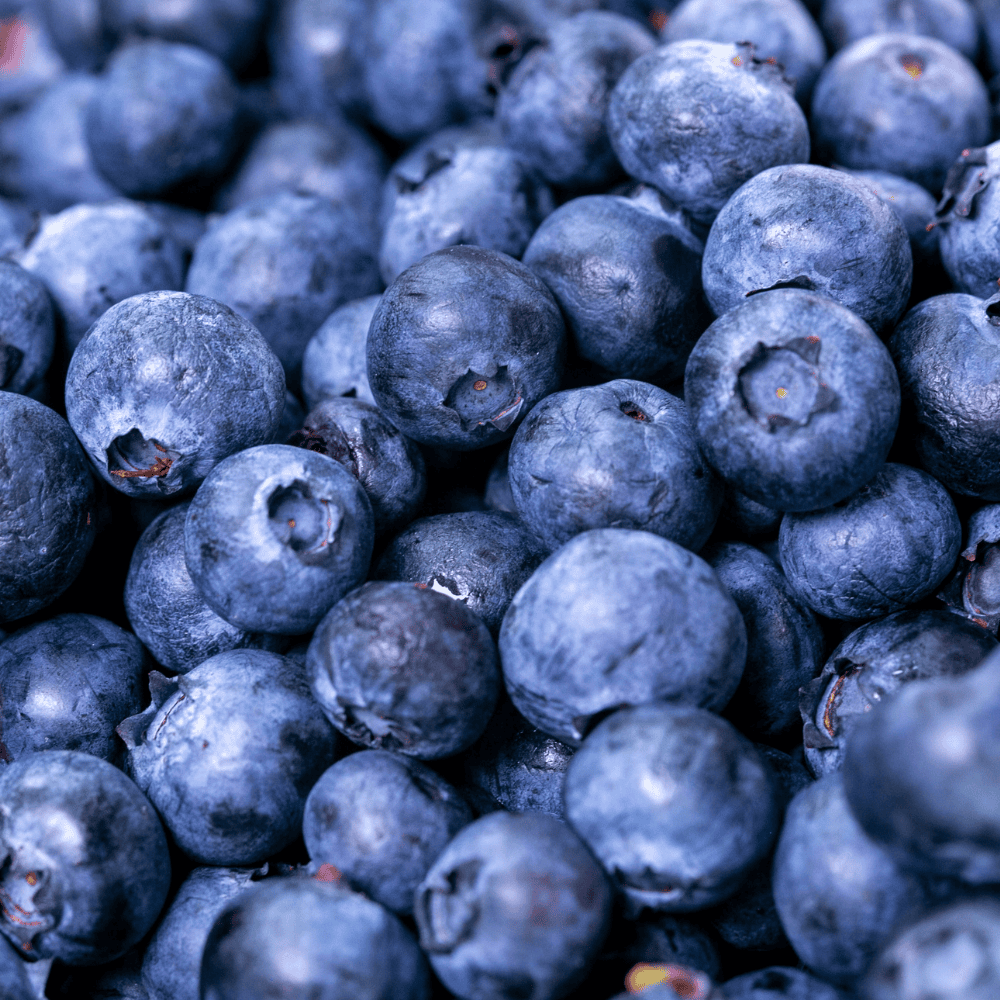 46 Blueberry - ब्लूबेरी - Image 1