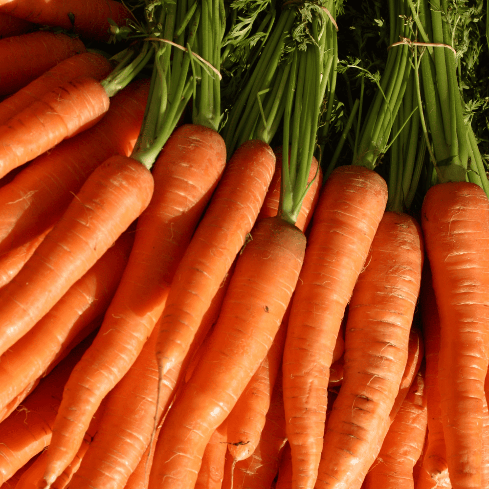 5 Carrot (Orange) - गाजर (ऑरेंज) - Image 1