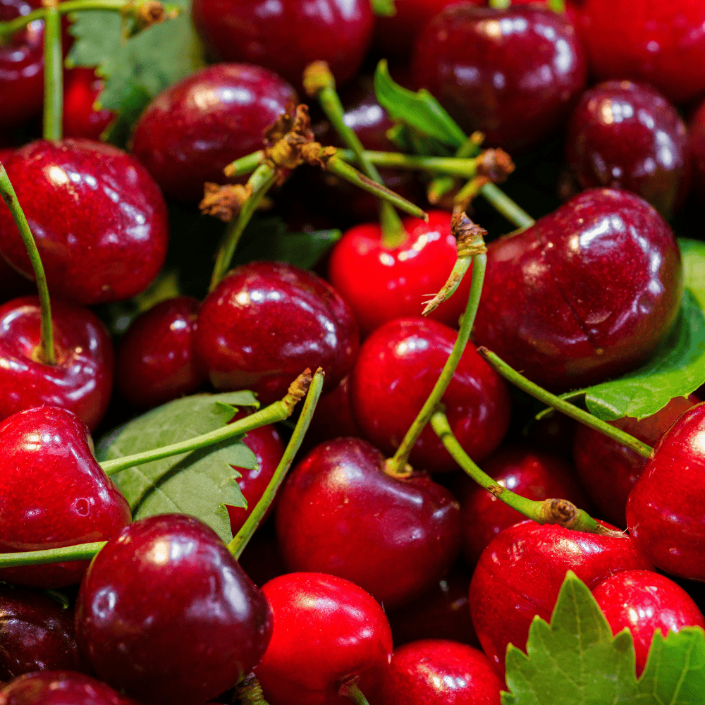 54 Cherry - चेरी - Image 1