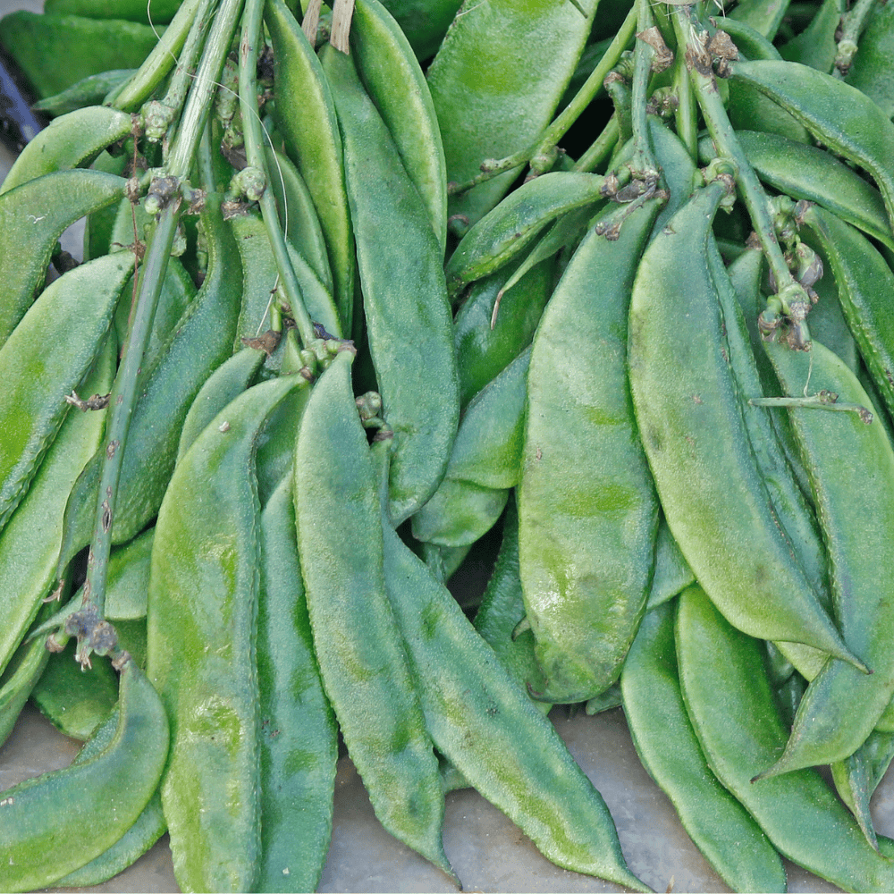 54 Green Beans (Normal) - सेम फली - Image 1