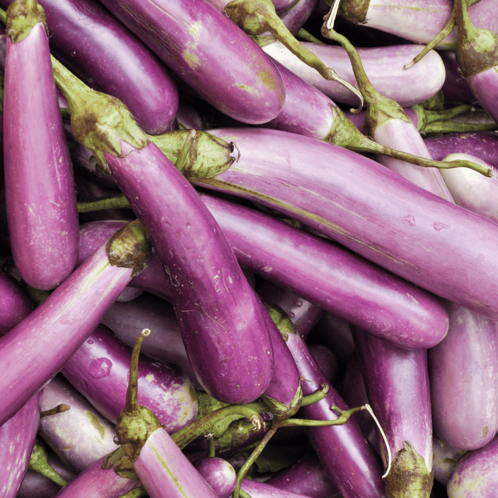 56 Brinjal Purple (Long) - बैंगन (बैंगनी लम्बा) - Image 1
