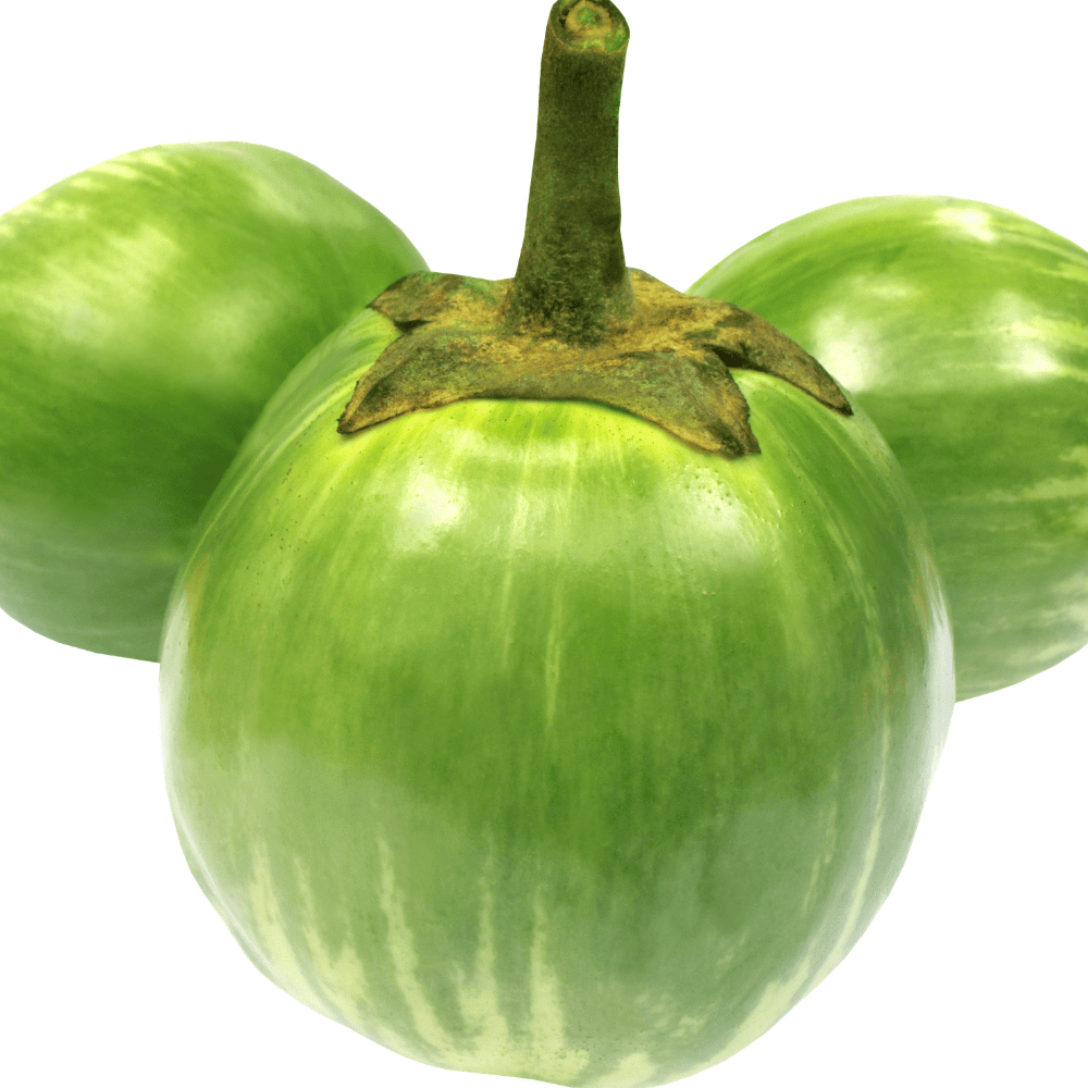 59 Brinjal Green (Round) - बैंगन (हरा गोल) - Image 1