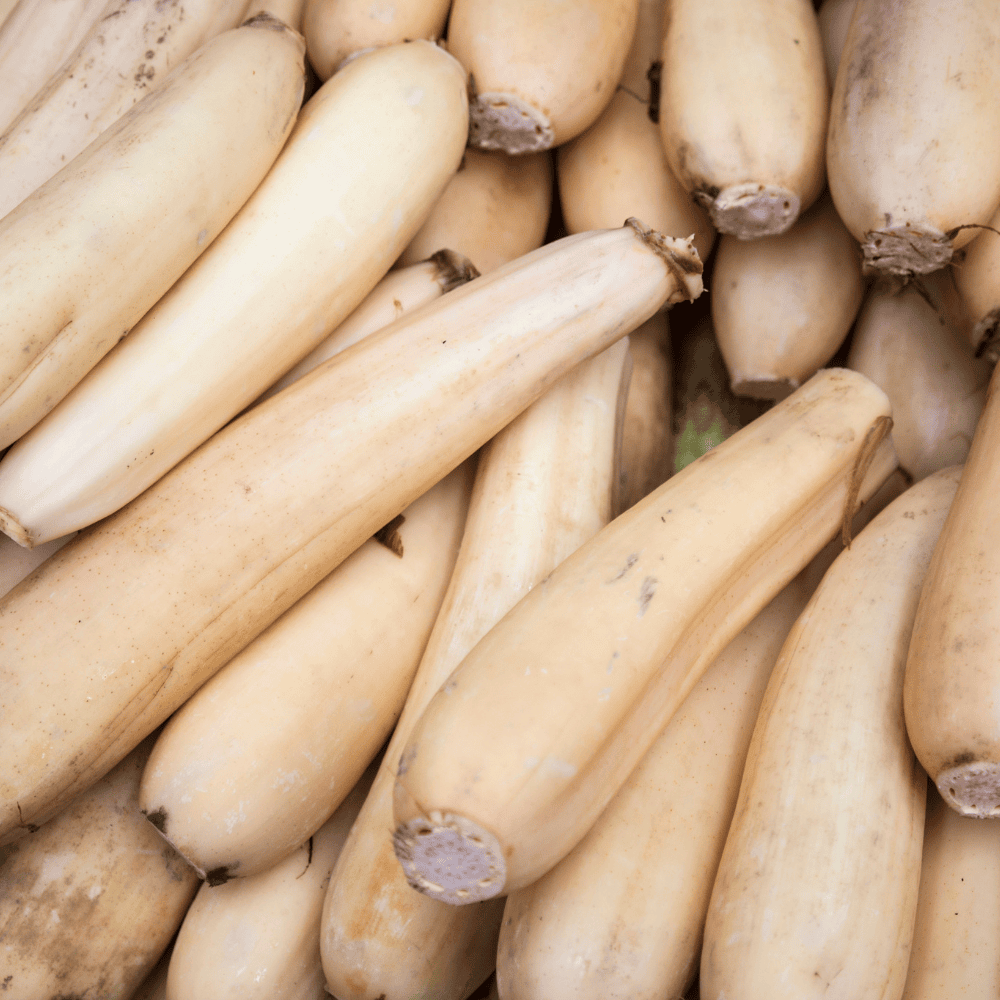 60 Lotus Root - कमल ककड़ी-बसेड़ा - Image 1