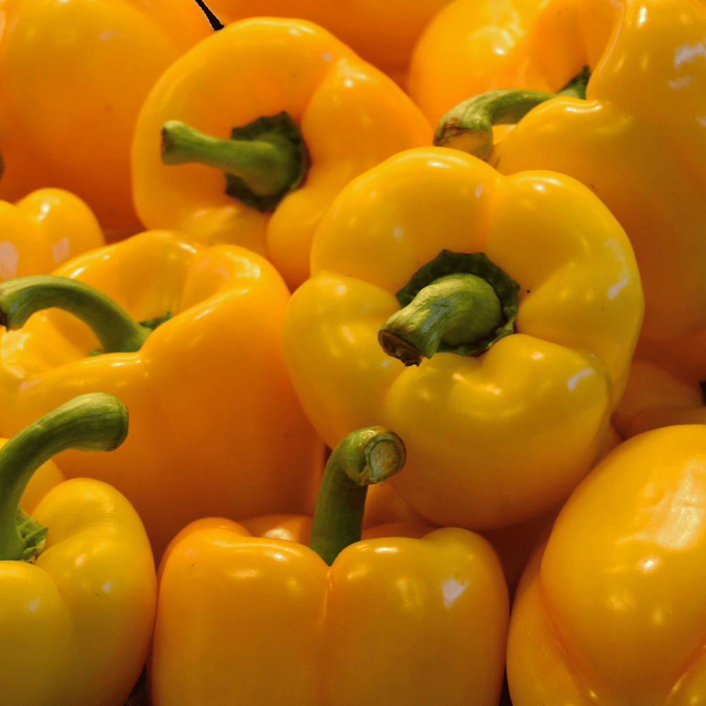 65 Capsicum Yellow - शिमला मिर्च (पीला) - Image 1