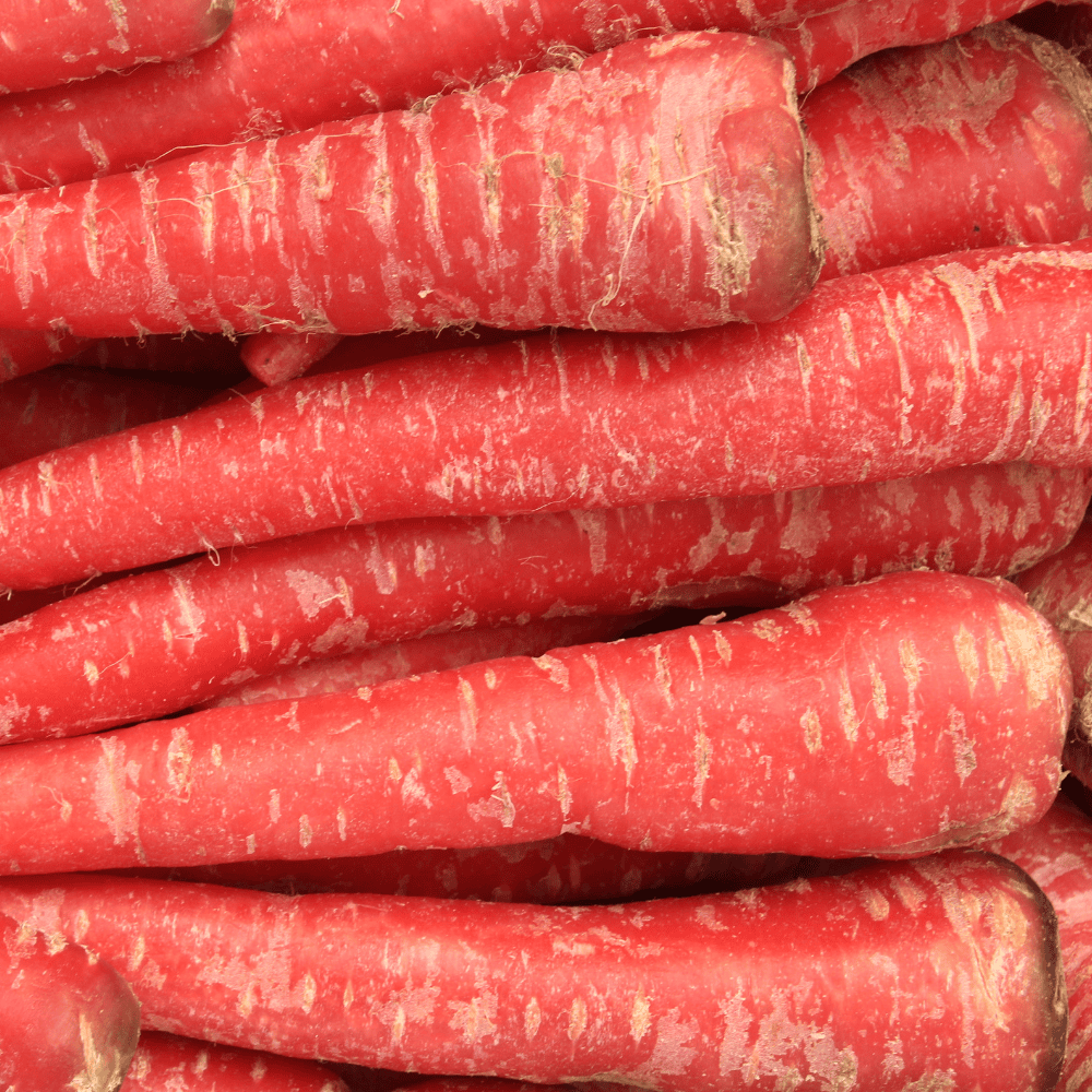 74 Carrot (Red) - गाजर (लाल) - Image 1