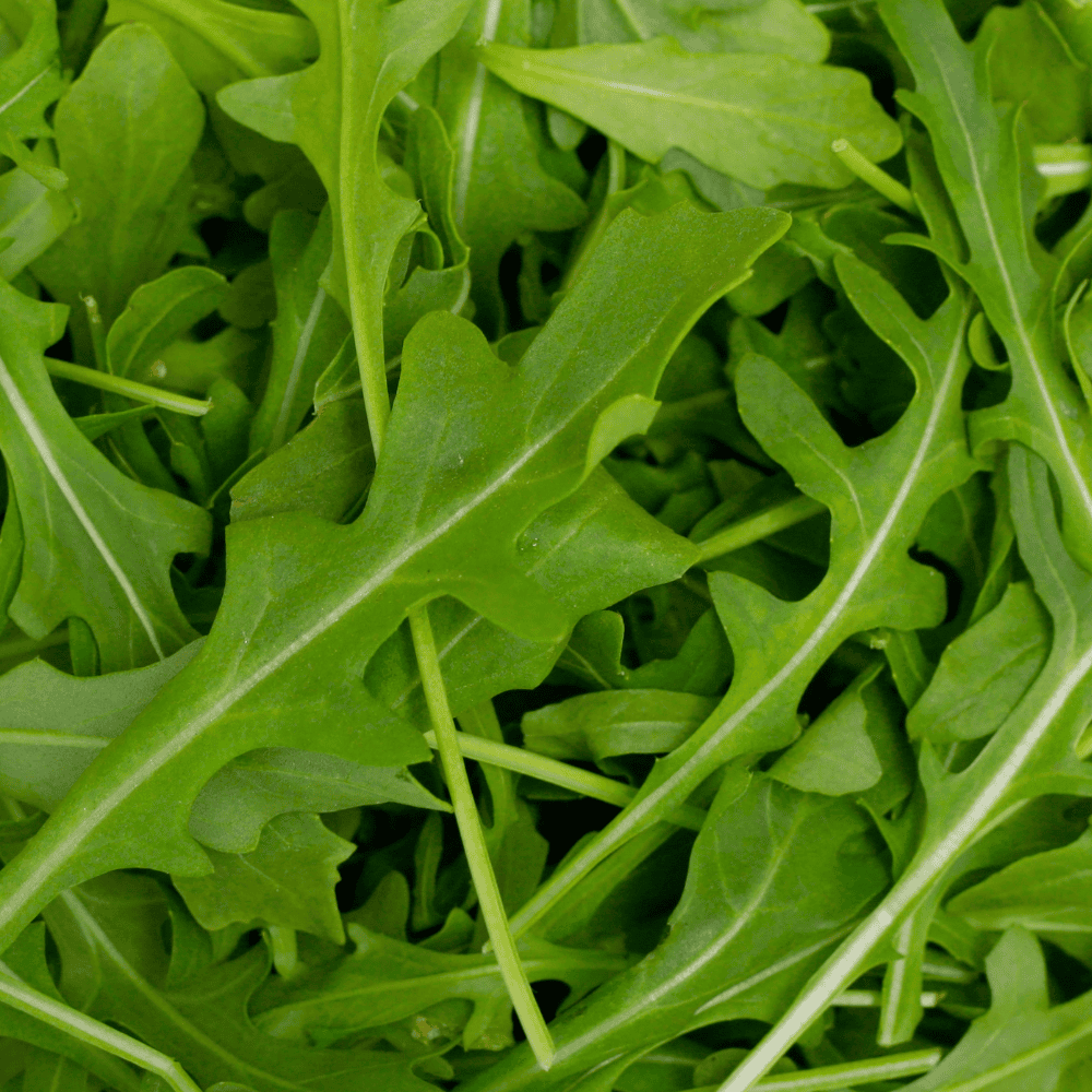 78 Spinach Desi - पालक (देसी) - Image 1