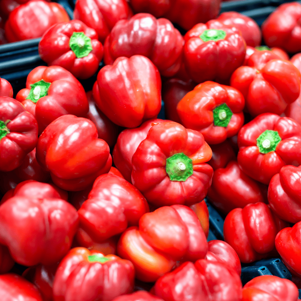 9 Capsicum Red - शिमला मिर्च (लाल) - Image 1