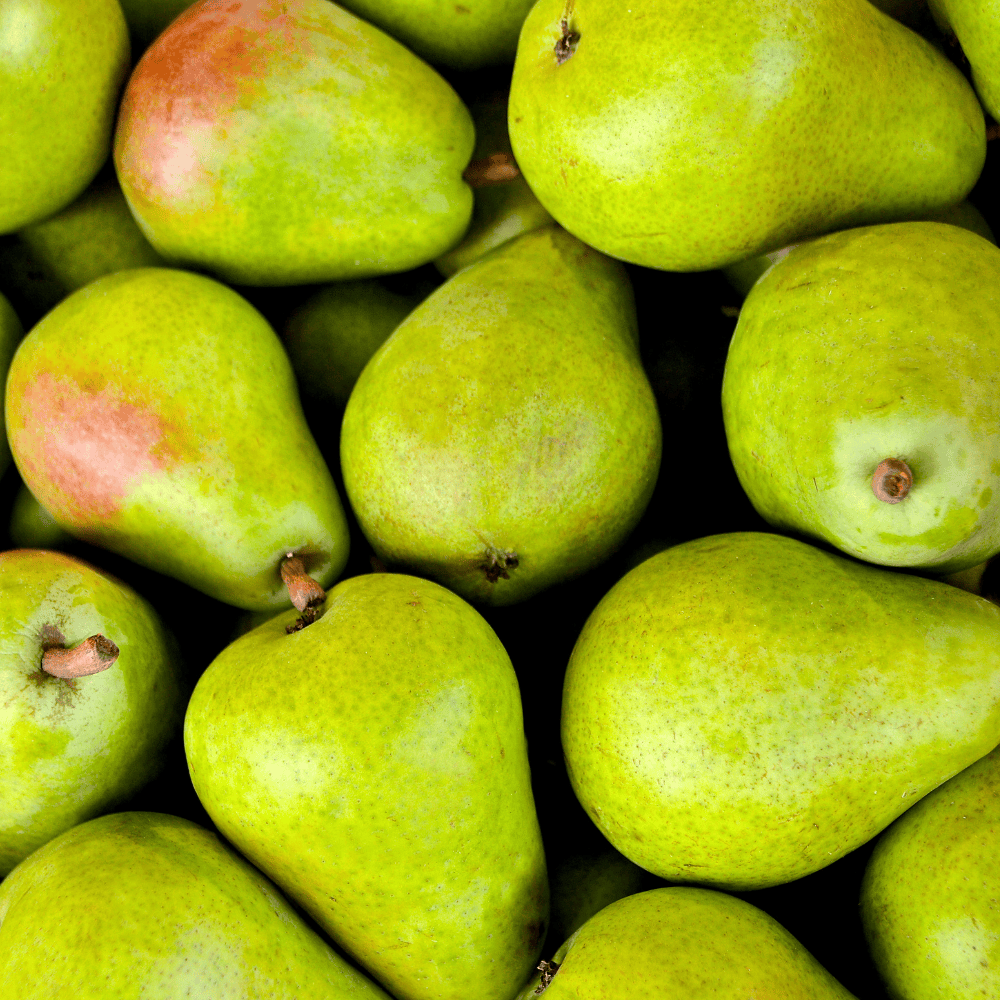 pear-beauty Pear Beauty - नाशपाती ब्यूटी - Image 1