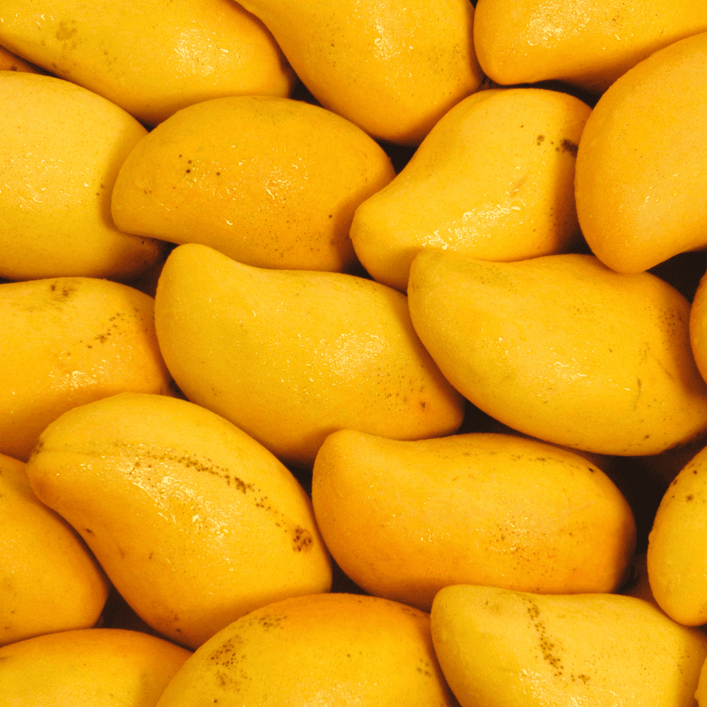 safeda Safeda Mango - सफेदा आम - Image 1