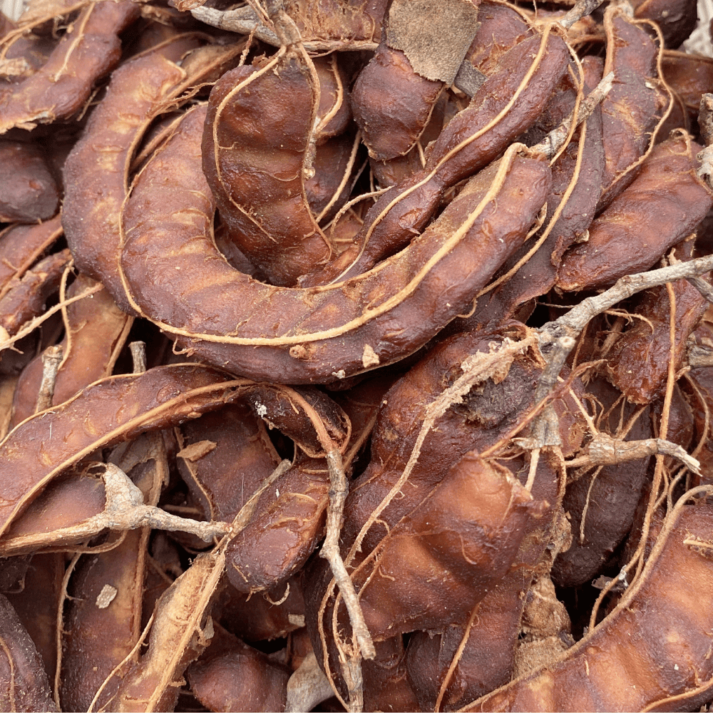 tamarind Tamarind - इमली सूखी - Image 1
