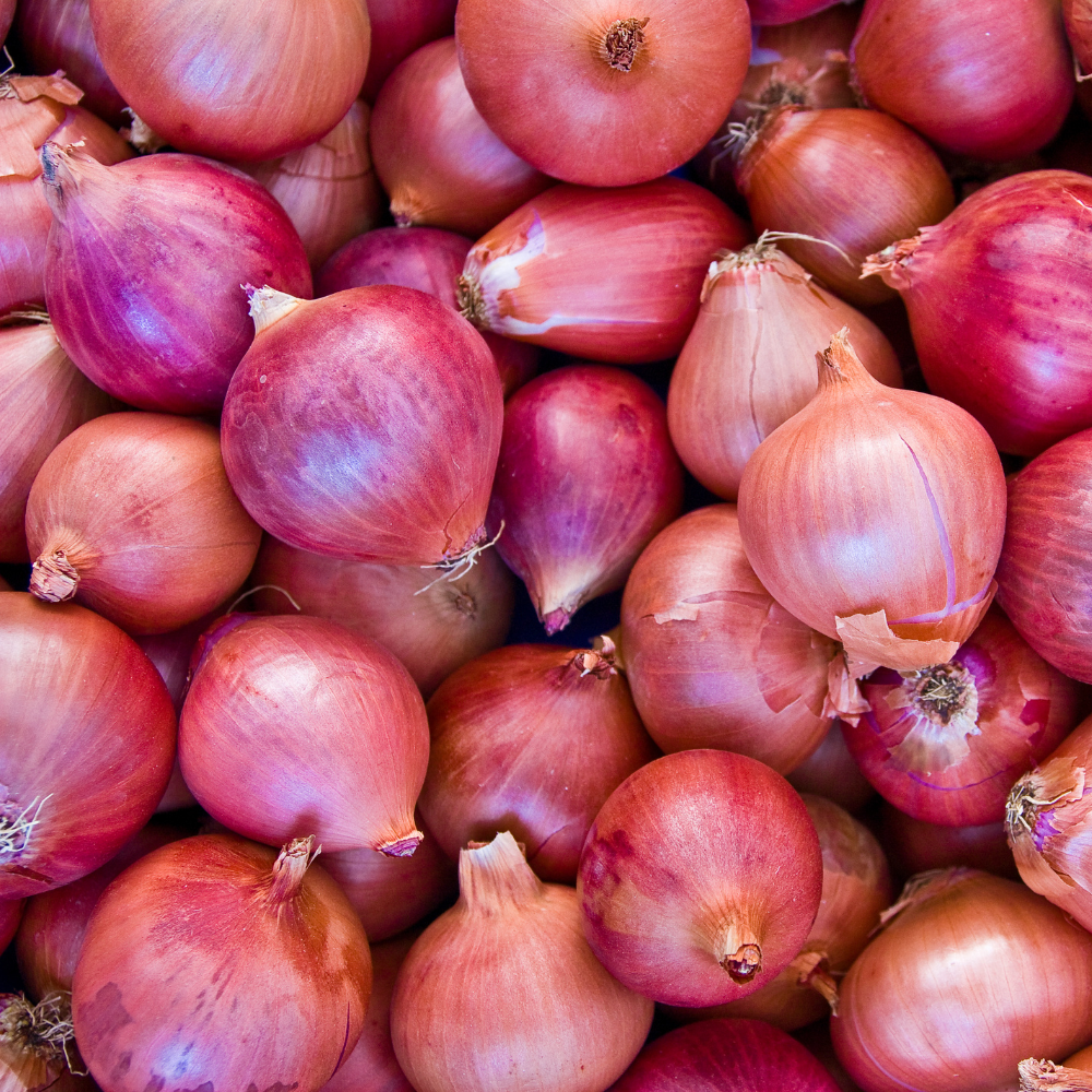 17 Red Onion - प्याज़ (लाल) - Image 1